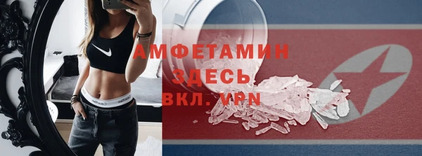 мдпв Михайлов