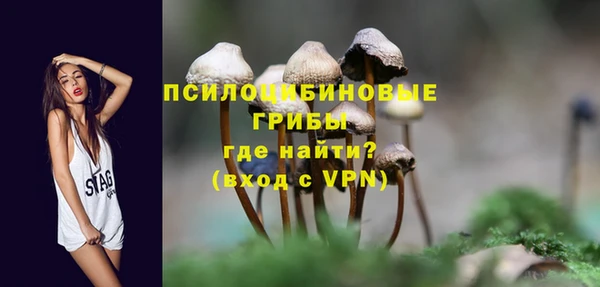молекула духа Михайловка