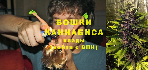 молекула духа Михайловка