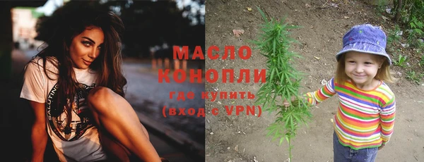 мдпв Михайлов