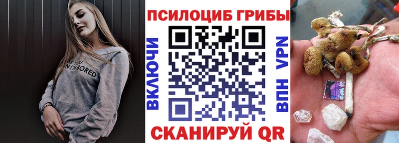 Купить где Егорьевск Галлюциногенные грибы прущие грибы